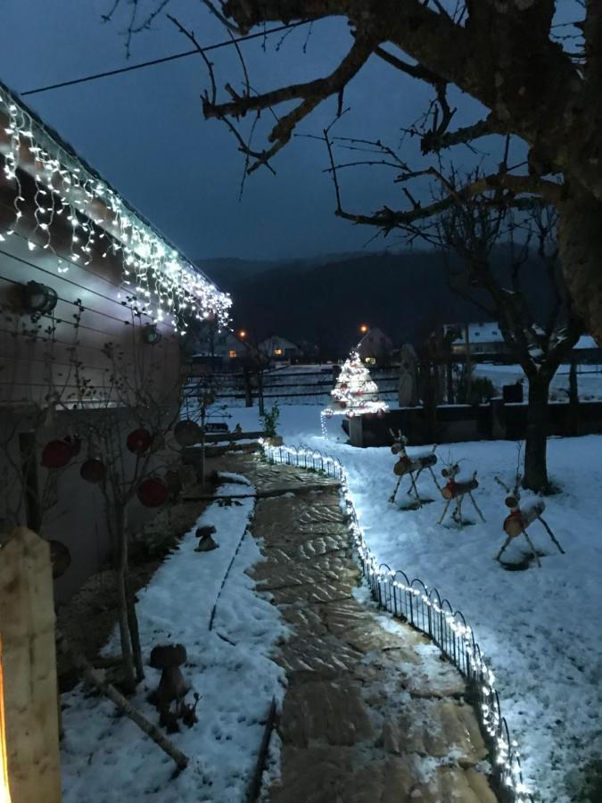 Chalet Colline Et Lou Wintzfelden エクステリア 写真