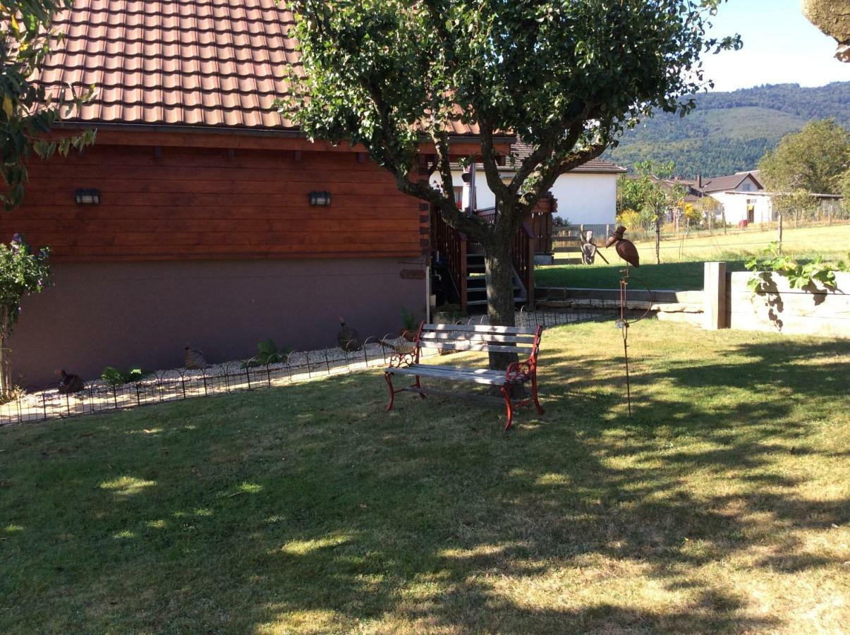Chalet Colline Et Lou Wintzfelden エクステリア 写真